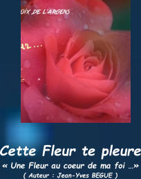 Cette Fleur te pleure « Une Fleur au coeur de ma foi …» ( Auteur : Jean-Yves BEGUE )